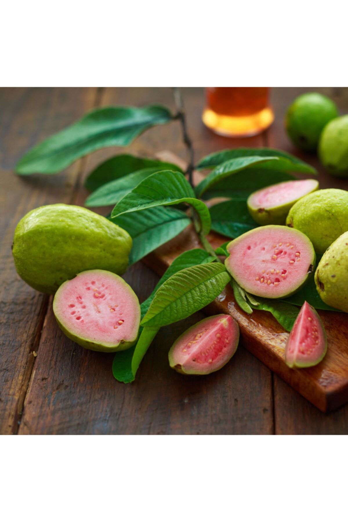 Guava Fidanı 40-60Cm