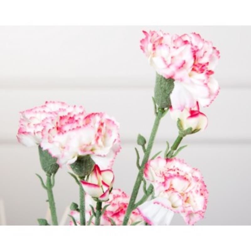Pembe Beyaz Karanfil Çiçeği 60Cm-80Cm