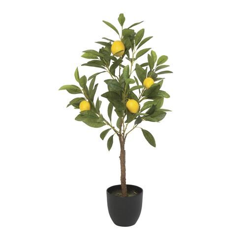 Enter Limon Ağacı Fidanı 150 Cm 200 Cm (Saksıda)