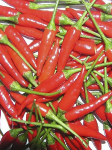 Frenk Acı Biber Fidesi 30 Adet