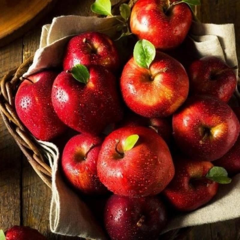 Red Miracle Elma Ağacı Tam Bodur 80 Cm