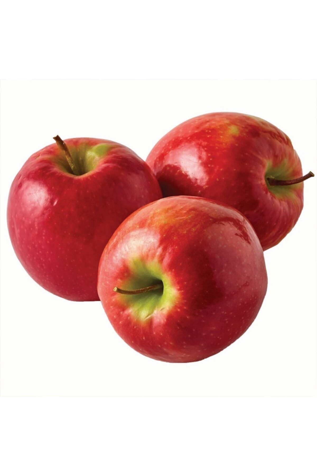 Crips Pink Elma Ağacı 3 Yaş 100-120Cm