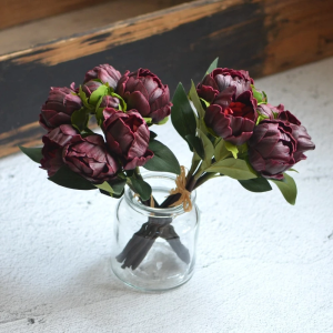 Bordo Şakayık Çiçeği Fidanı 40Cm-60Cm