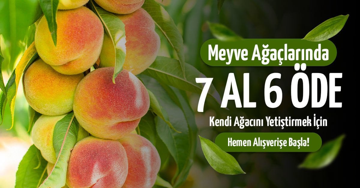 Meyve kategorisinde 7 al 6 öde